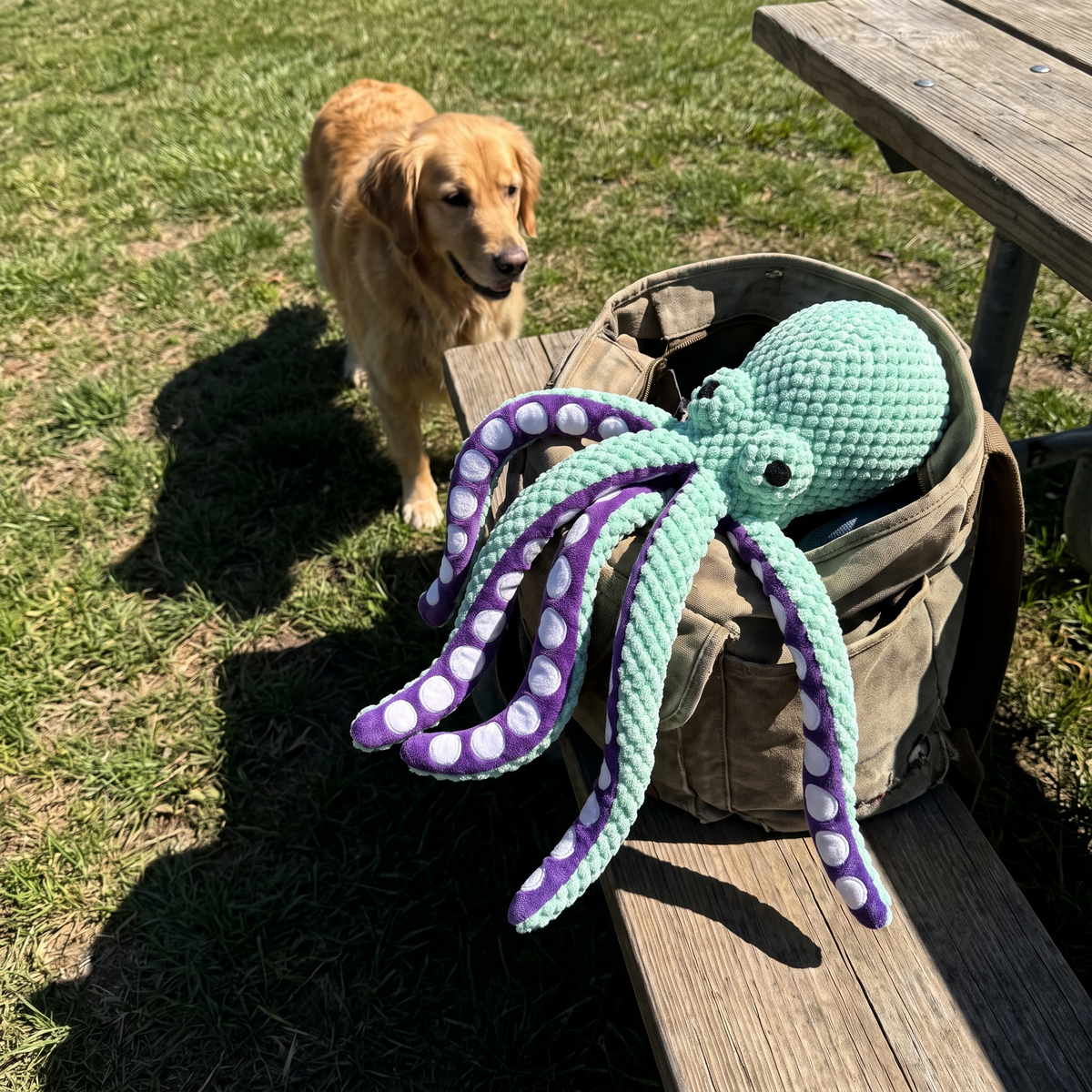 Squiddy Kuscheloktopus – Szenenbild section-3