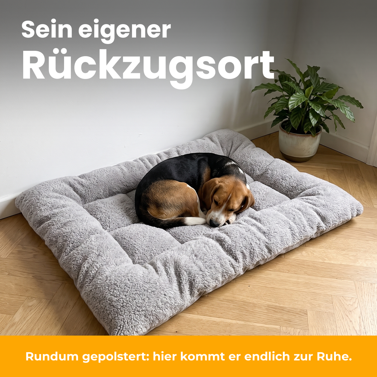 [de] TeddyBed – Beagle schläft eingerollt in seinem TeddyBed