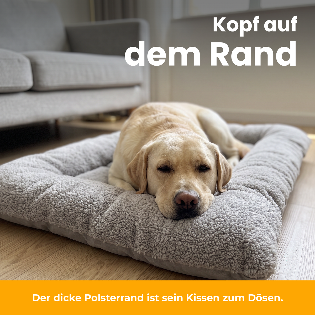 [de] TeddyBed – Labrador legt das Kinn auf den gepolsterten Rand