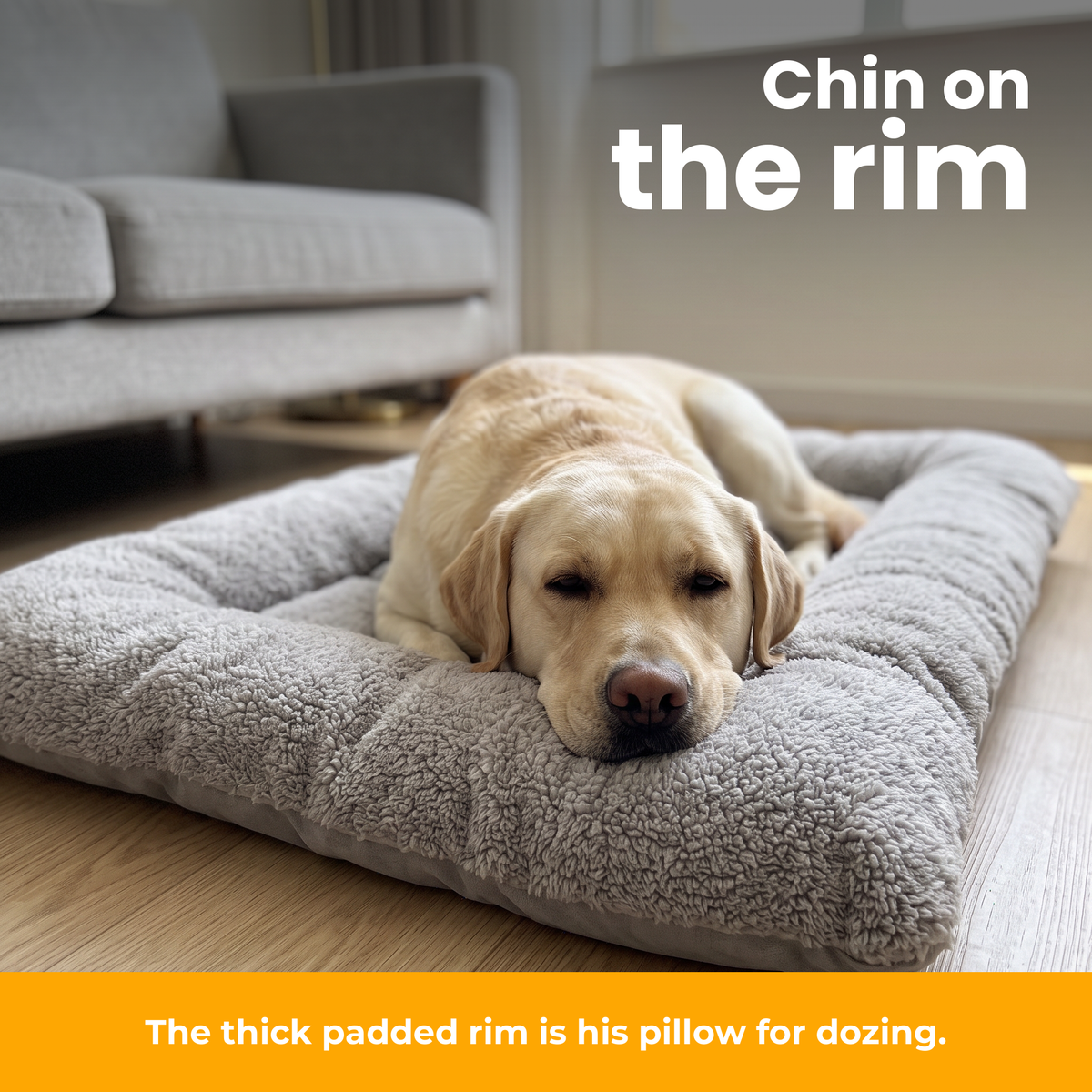 [en] TeddyBed – Labrador resting its chin on the padded rim