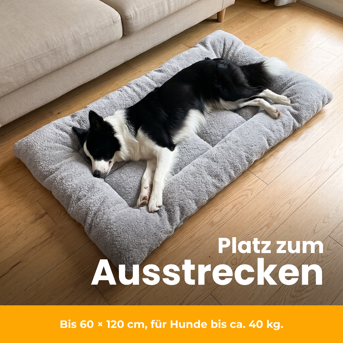 [de] TeddyBed – Border Collie liegt ausgestreckt im TeddyBed in Größe L
